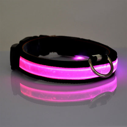 Collier en nylon pour chien et chat, lumière DEL, sécurité nocturne, flash lumineux