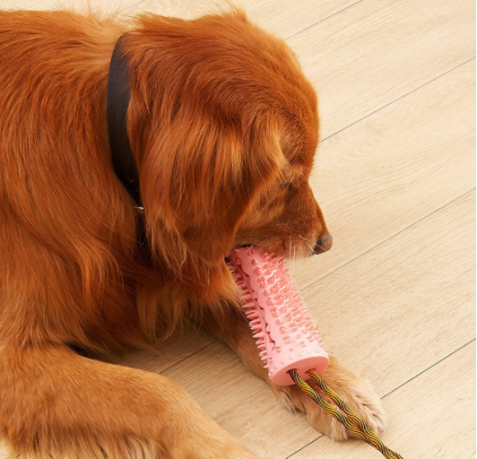 Pet Dog Toy Ball Sucker Leakage Snack Ball Bite-Resistant Teeth Training