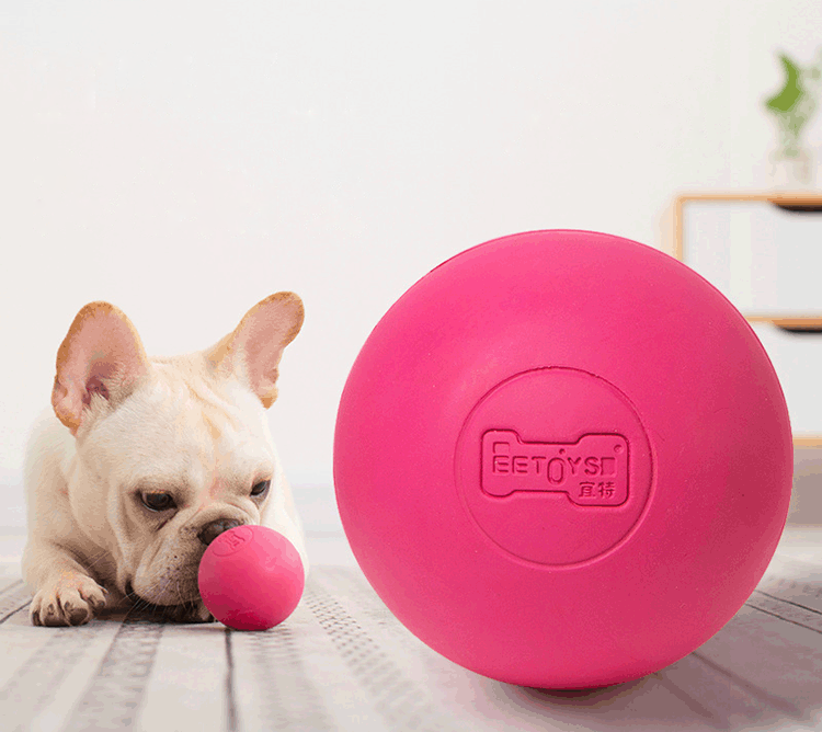 Balle Interactive en Caoutchouc Solide pour Chien - Jouet Résistant et Rebondissant