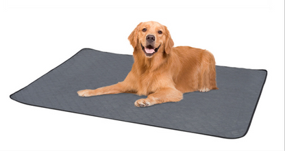 Pet Diaper Pad Reusable Washable Dog Diaper Pad Absorbent Non-Slip Waterproof Diaper Pad Training Diaper Not Wet