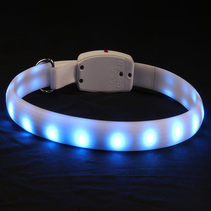 Collier lumineux à DEL pour chien et chat, multicolore, 11 types et modes clignotants, Ajustable et résistant à l’eau