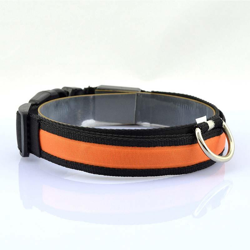 Collier en nylon pour chien et chat, lumière DEL, sécurité nocturne, flash lumineux