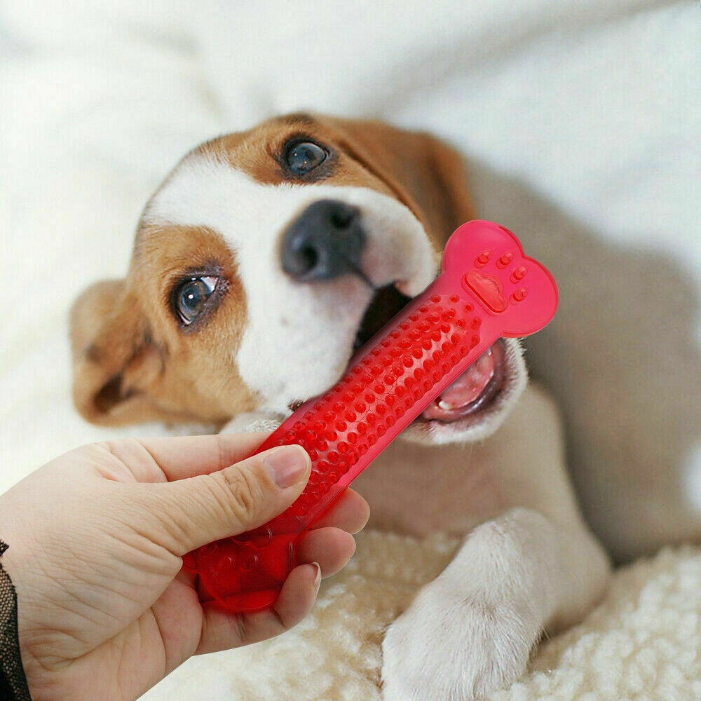 Pet Dog Chew Toys Rubber Bone Toy Aggressive Chewers Dog Toothbrush Doggy Puppy Dental Care