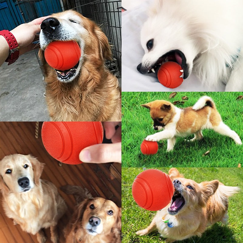 Dog Toy Rubber Ball Bite-resistant Dogs Puppy Teddy Pitbull Pet Supplies