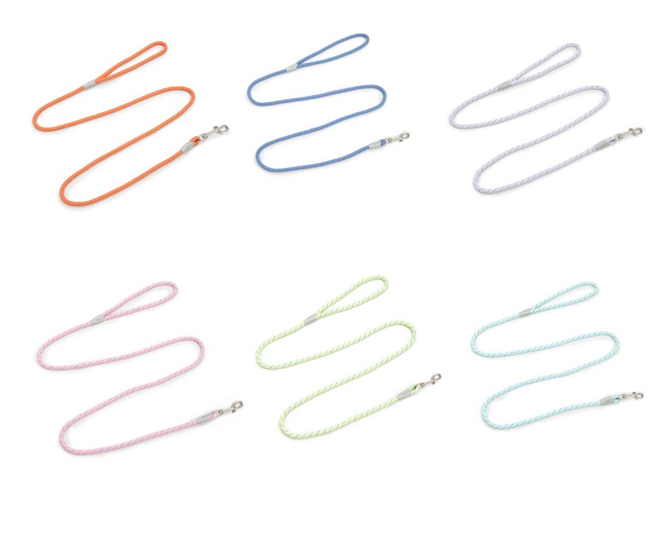 WAOPET - Laisse en nylon de haute qualité pour Chiens et Chats