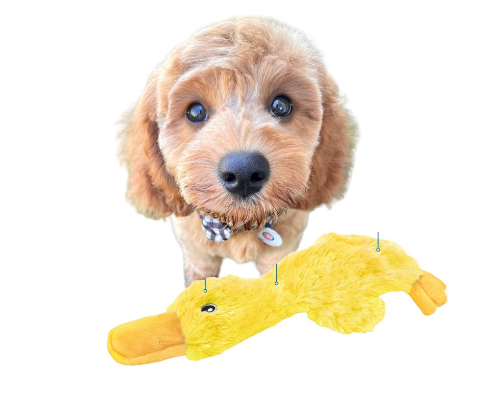 Peluche Ti-Canard jaune mignon pour Chiens
