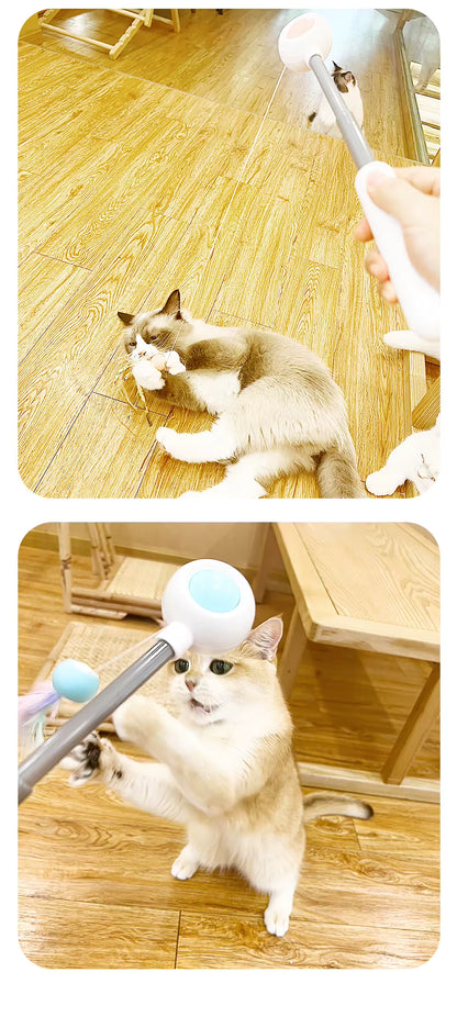 Jouet Laser Interactif pour Chat avec Plumes - Stimulation Mentale et Physique