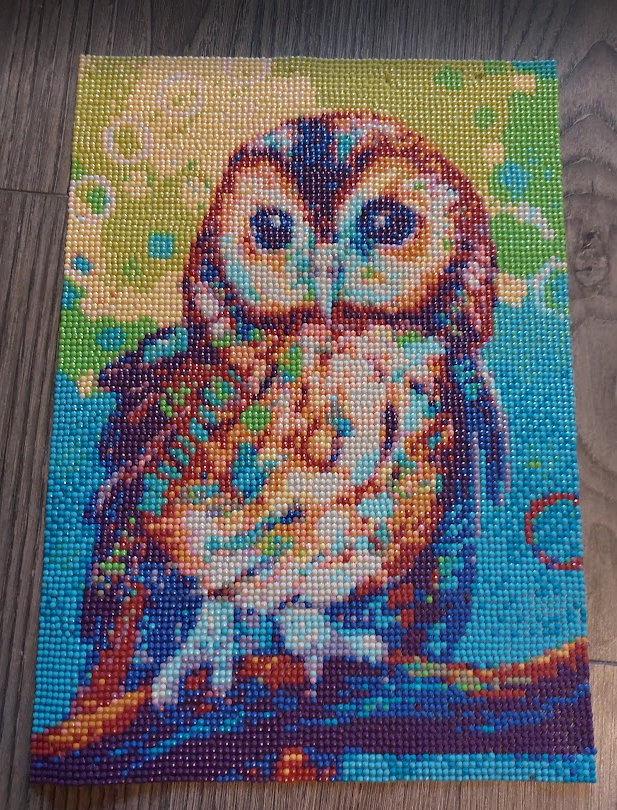 Peinture au diamant Magnifique Chouette terminée