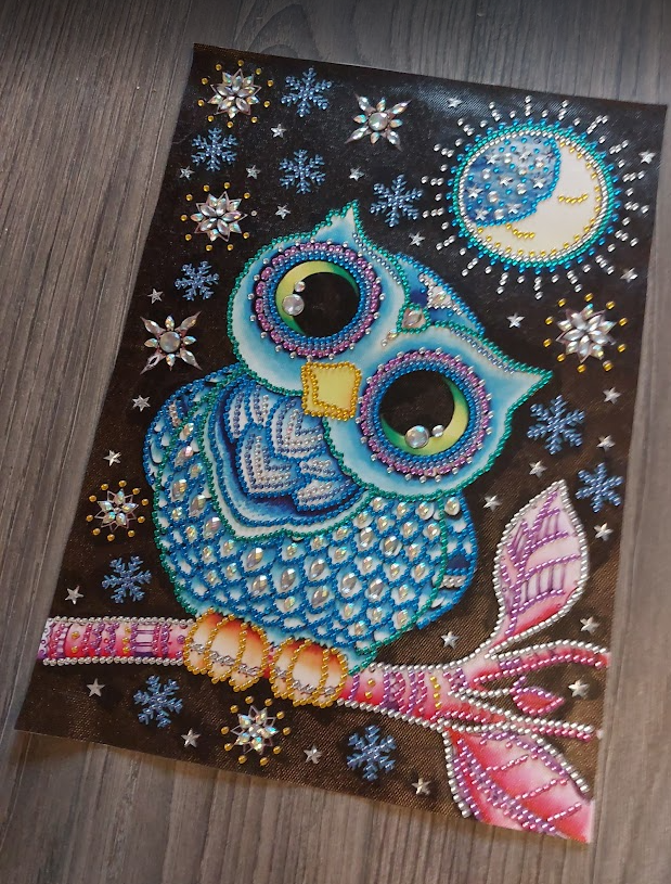 Peinture au diamant Magnifique hibou grand-duc terminée