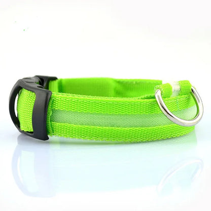 Collier Lumineux DEL rechargeable USB