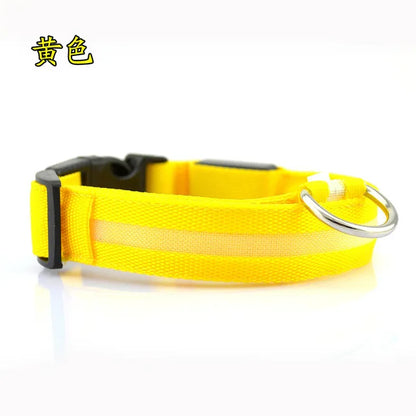 Collier Lumineux DEL rechargeable USB