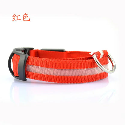 Collier Lumineux DEL rechargeable USB