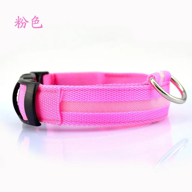 Collier Lumineux DEL rechargeable USB