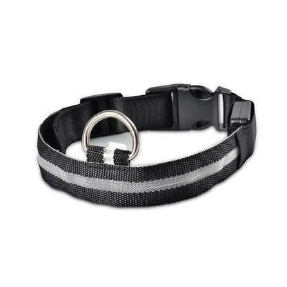 Collier Lumineux DEL rechargeable USB