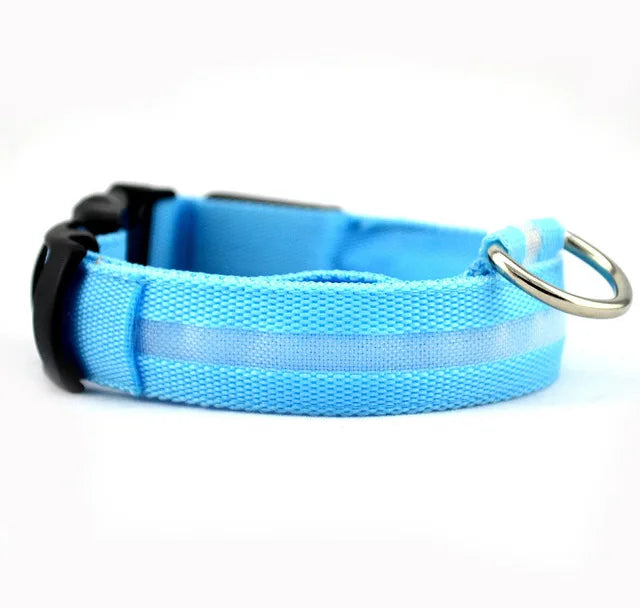Collier Lumineux DEL rechargeable USB