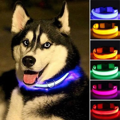 Collier Lumineux DEL rechargeable USB