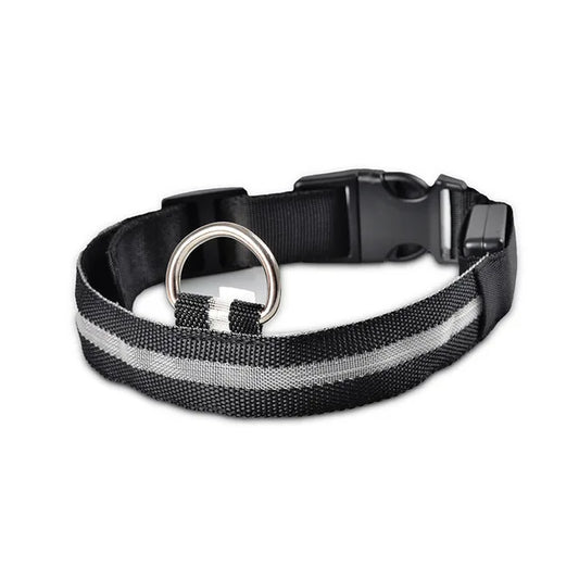 Collier Lumineux DEL rechargeable USB