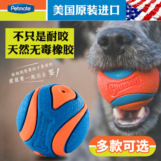 Balle pour Chien Indestructible Chuckit