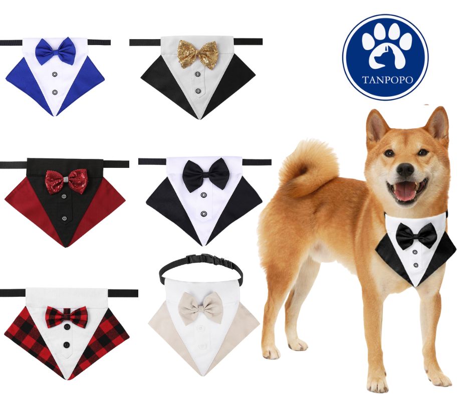 TANPOPO - Foulard triangle élégant et confortable pour Chiens