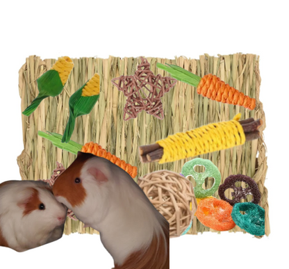 Teddy Natural Hay Mat with 12 Chew Toys - Rodents 11" x 8.5"