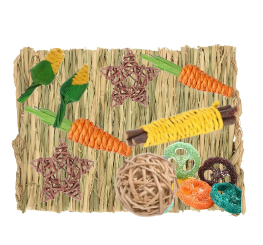 Tapis d'herbe/ Tapis de foin/ tapis de jeux pour petits animaux modèle Teddy 11'' x 8,5''