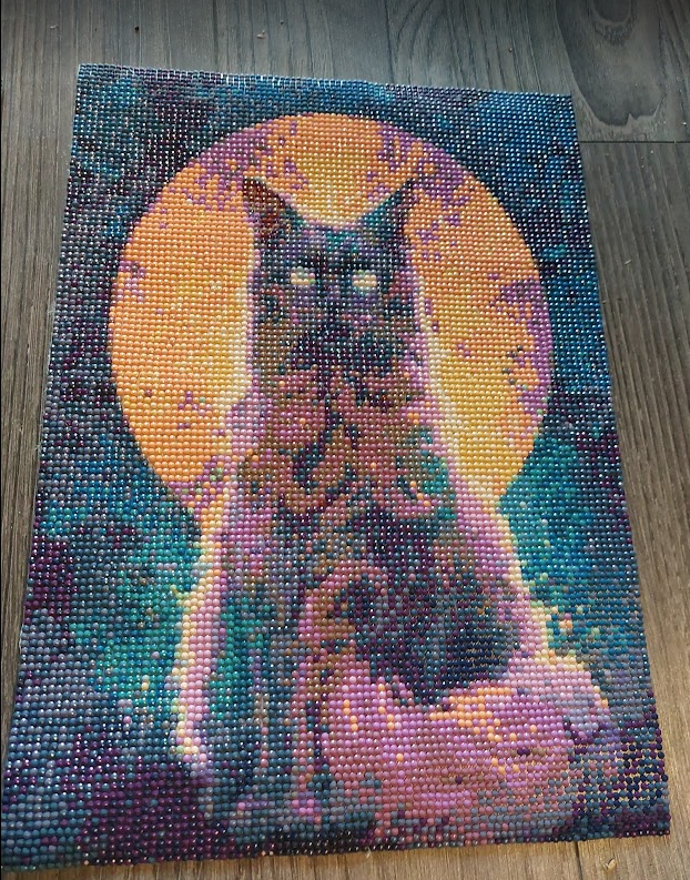 Peinture au diamant Chat noir devant une magnifique pleine lune terminée.