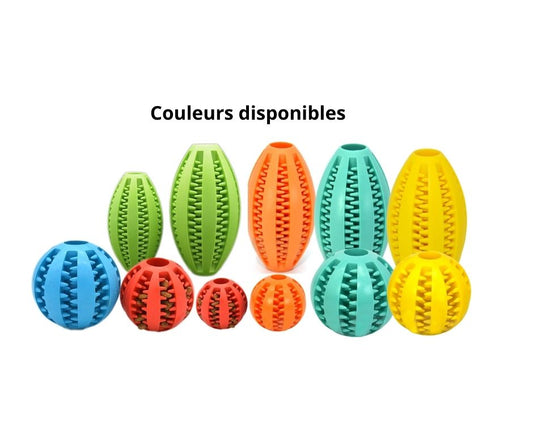 Jouet pour Chien Balle Friandise et nettoyage des dents