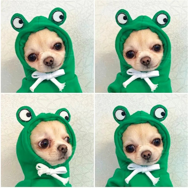 Costume d'halloween tendance Grenouille Amusante en polaire - Pour Chiens et Chats