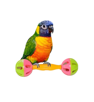 Hochet coloré pour Perroquets et Petits animaux