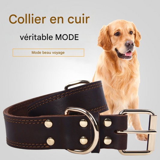 Collier style vintage pour chien en cuir de vache véritable, avec boucle de haute qualité en cuivre
