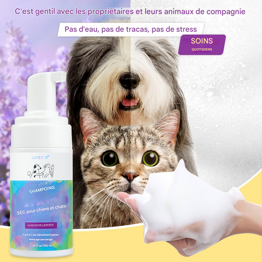 Shampooing Sec Sans Rinçage Bubbles - Nettoyage Express Parfum Lavande pour Chiens et Chats