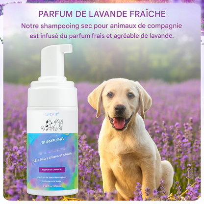 Shampooing Sec Sans Rinçage Bubbles - Nettoyage Express Parfum Lavande pour Chiens et Chats