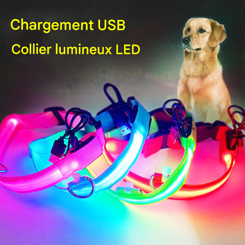 Collier LED Rechargeable USB - Pour Chiens