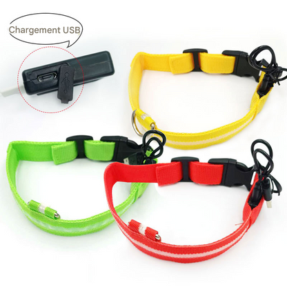 Collier LED Rechargeable USB - Pour Chiens