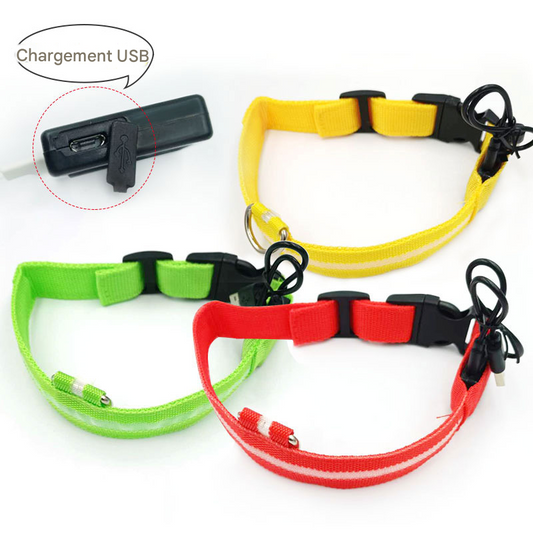Collier LED Rechargeable USB - Pour Chiens
