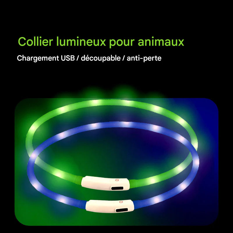 Collier Lumineux LED Rechargeable USB pour Chien - Sécurité Maximale la Nuit