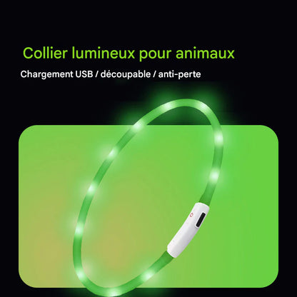 Collier Lumineux LED Rechargeable USB pour Chien - Sécurité Maximale la Nuit