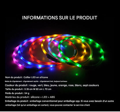 Collier Lumineux LED Rechargeable USB pour Chien - Sécurité Maximale la Nuit