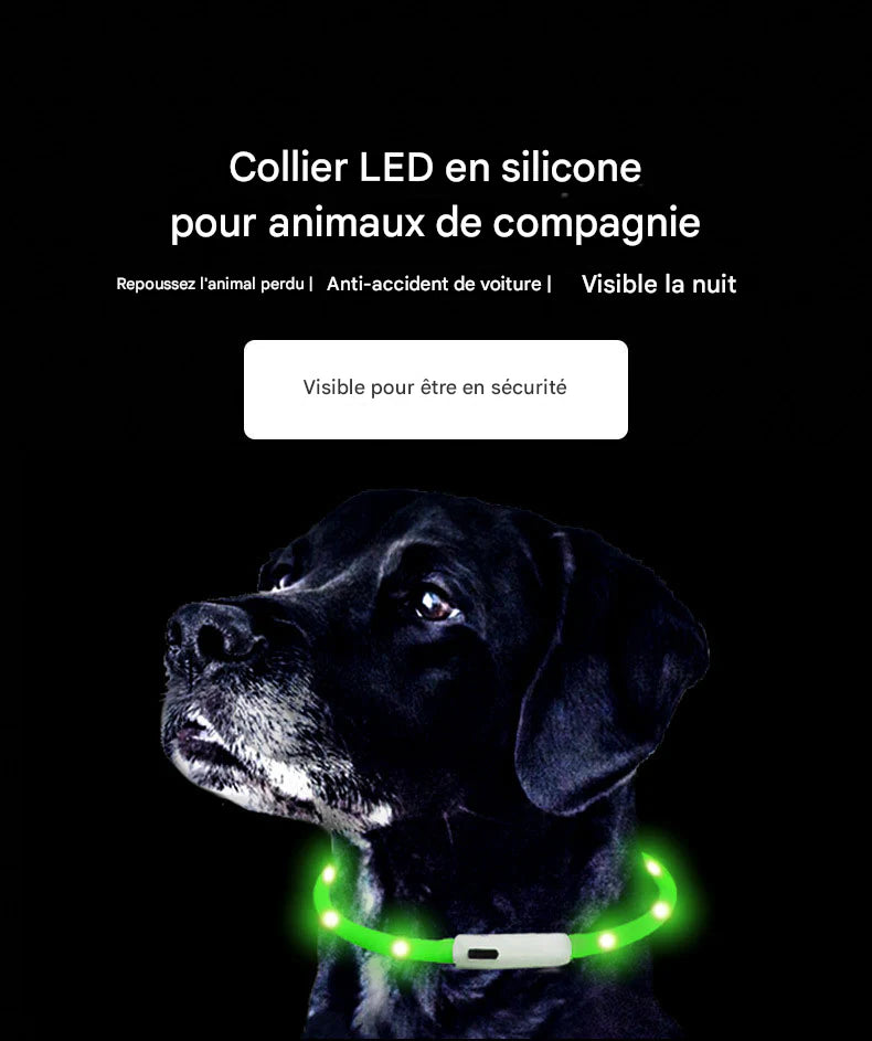 Collier Lumineux LED Rechargeable USB pour Chien - Sécurité Maximale la Nuit