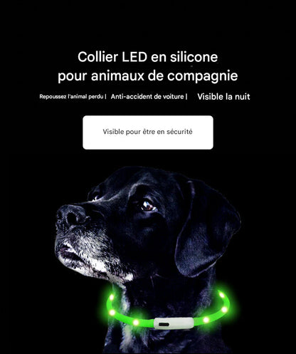 Collier Lumineux LED Rechargeable USB pour Chien - Sécurité Maximale la Nuit