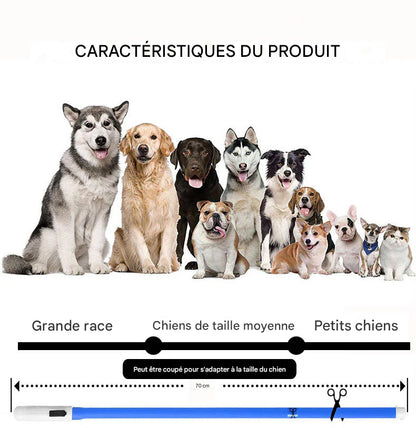 Collier Lumineux LED Rechargeable USB pour Chien - Sécurité Maximale la Nuit