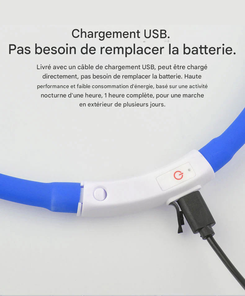Collier Lumineux LED Rechargeable USB pour Chien - Sécurité Maximale la Nuit