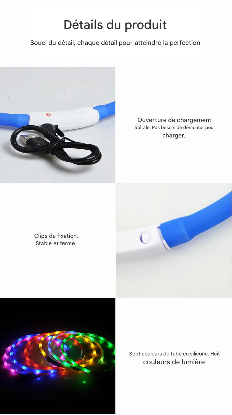 Collier Lumineux LED Rechargeable USB pour Chien - Sécurité Maximale la Nuit