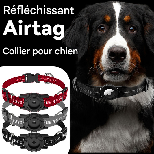 Collier anti-perte réfléchissant en nylon pour Apple Locator Airtag (tag non inclus)