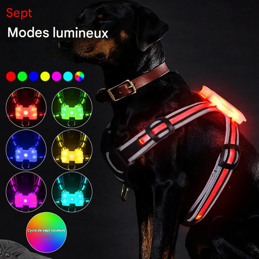 Harnais  anti-traction avec lumière DEL et 7 modes lumineux - Pour chien