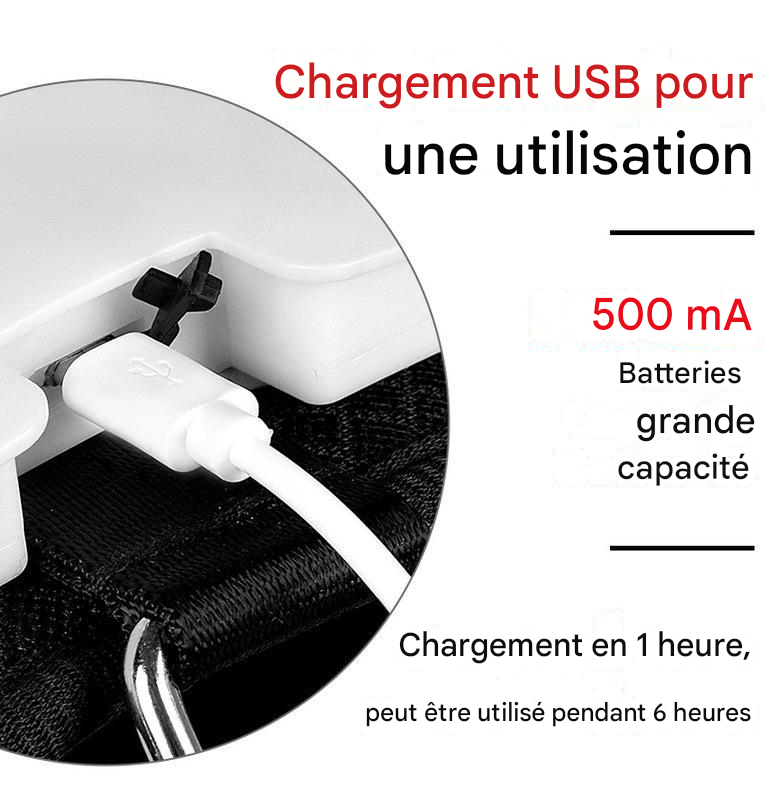 Harnais  anti-traction avec lumière DEL et 7 modes lumineux - Pour chien