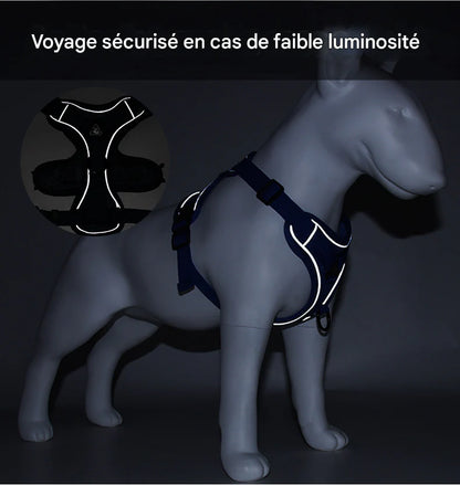Harnais et Laisse Premium pour Corgi, Bulldog & Boston Terrier - Réfléchissant, Respirant et Anti-Traction