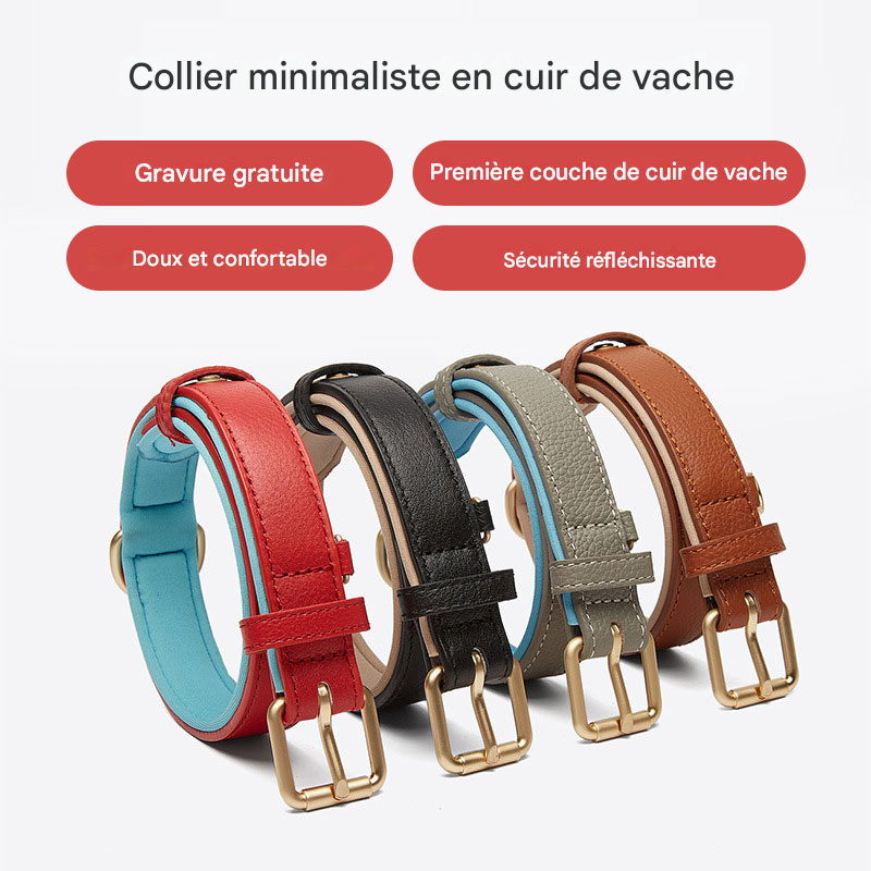 Collier Personnalisable pour chien en cuir véritable, luxueux, tendance et résistant à l'usure