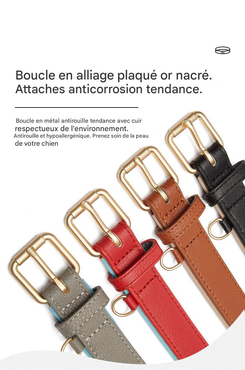 Collier Personnalisable pour chien en cuir véritable, luxueux, tendance et résistant à l'usure