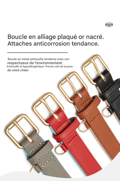 Collier Personnalisable pour chien en cuir véritable, luxueux, tendance et résistant à l'usure
